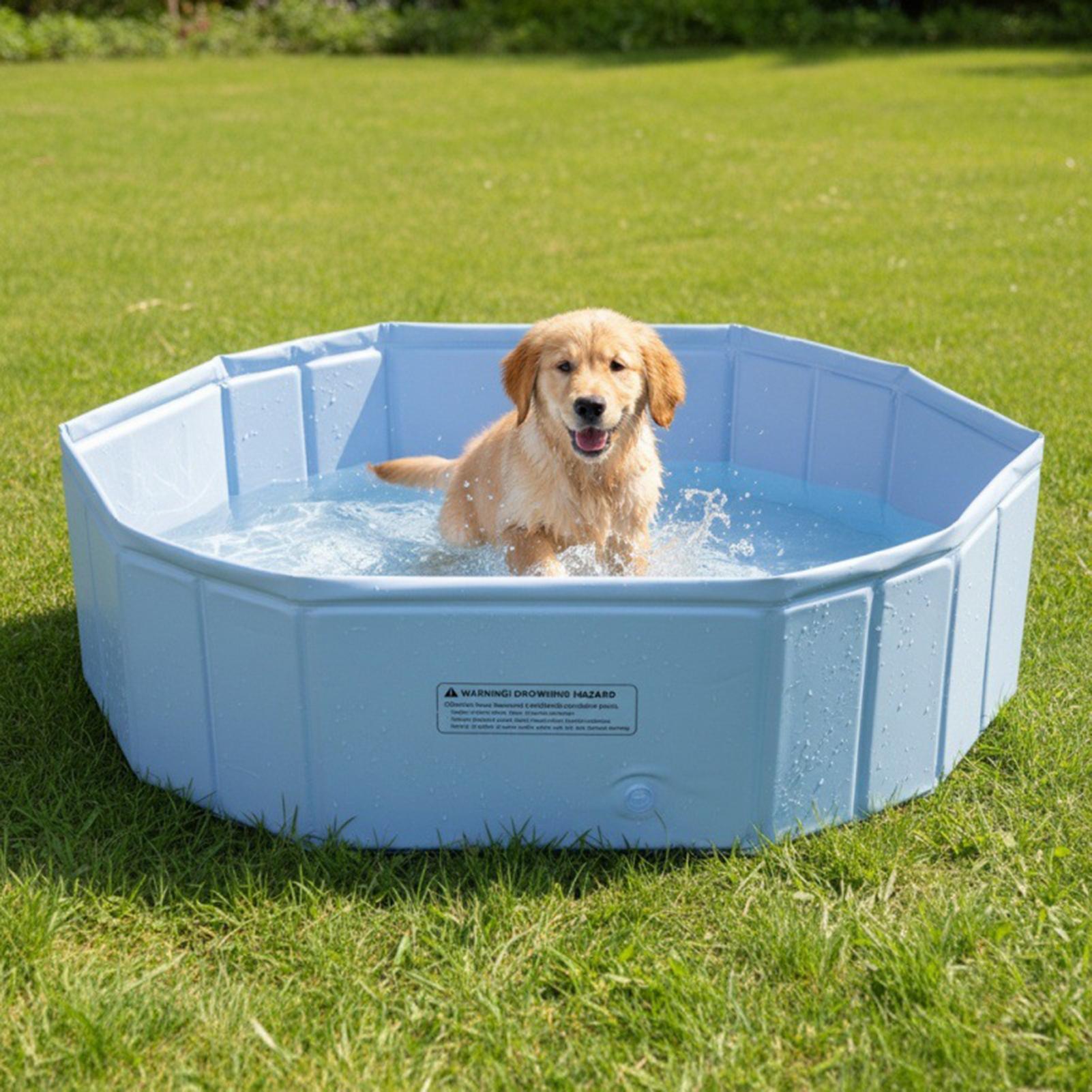 Outdoor Foldable Pet Swimming  - Games Garden Party ulasan dan harga